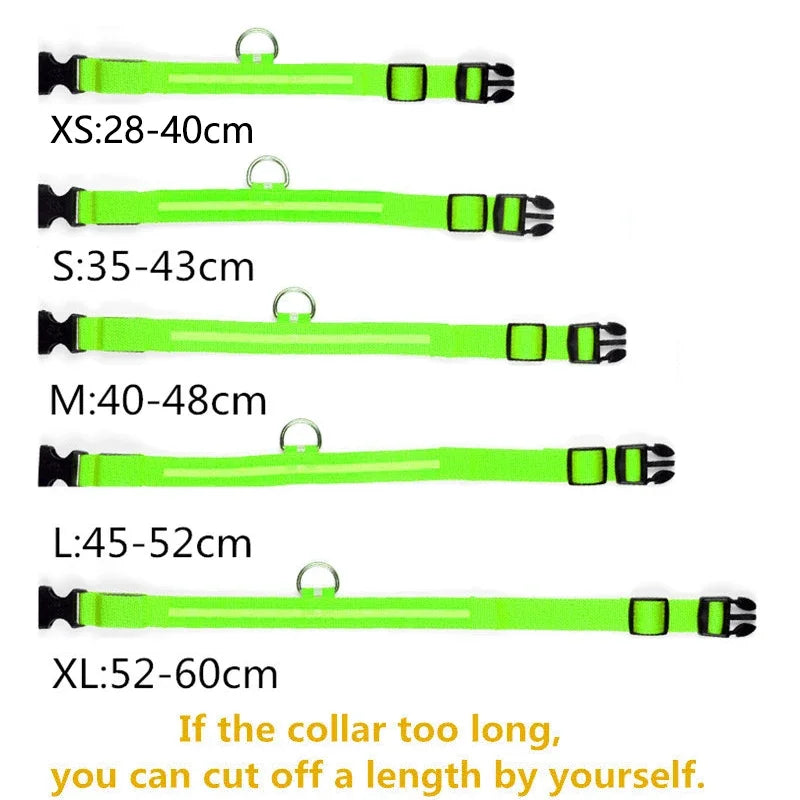 LED DOG COLLAR