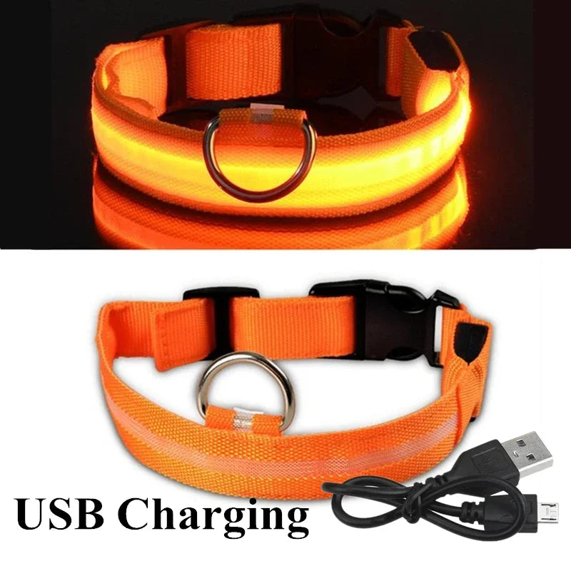 LED DOG COLLAR