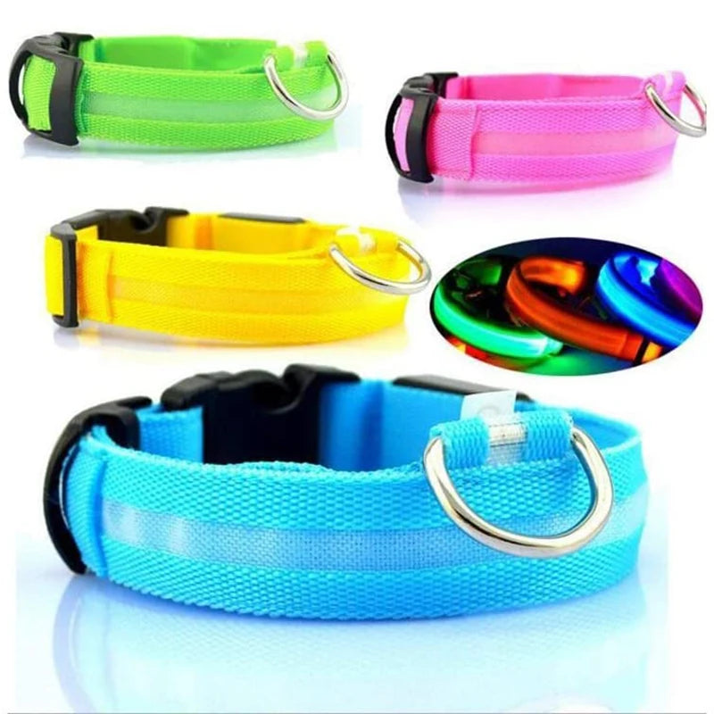 LED DOG COLLAR