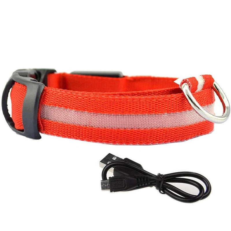LED DOG COLLAR